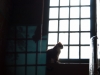 "El misterio del gato en la ventana"