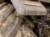 Lamborgini, un toro en terreno embarrado