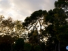 Ocaso en el Retiro