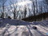 Sombras invernales
