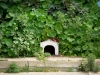 En busca de Totoro.