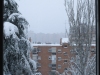 Filomena desde mi ventana