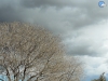 Tarde gris plomizo