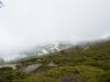 Caminata bajo la niebla III