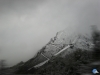 Entre la niebla I