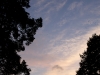 El vuelo al atardecer