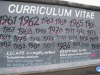 El Muro VIII