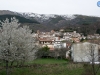 Entre nieves y flores