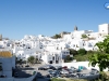Véjer blanca