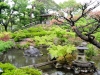 Jardín japonés