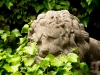 El león apenado