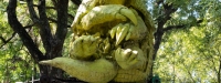 El armadillo amarillo