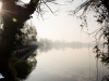 Passeggiata alla mattina