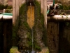 Fuente boscosa