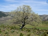 Dominio del paisaje