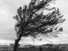 La fuerza del viento