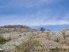 El valle del Jerte