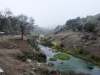 La niebla lo transforma todo