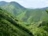 Montañas boscosas