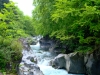 Río celeste
