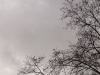 Gris plomizo