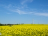 Abril en campos navarros