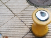 El ojo amarillo