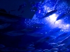 Azul marino