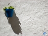 La importancia del color