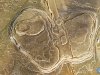 Alas de piedra