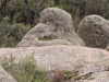 Jabba the Hutt
