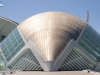 El armadillo