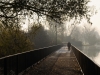 Un puente sobre el lago