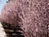 Colores de primavera