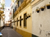 Decoración macetera