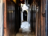 Pasadizos de Gion II
