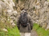 Caminante