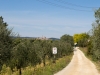 San Gimigniano, final de la ruta