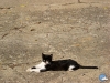 Echando la tarde al sol
