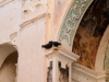 Amor entre las ruinas