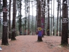 El bosque de Oma I