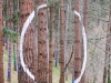El bosque de Oma II