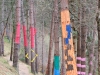 El bosque de Oma III