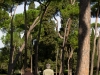 Paseggiata di sabado mattina