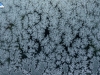 Dibujos del hielo II