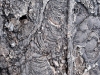 Lava