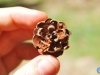 Piña floreá
