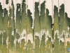 Desconchado